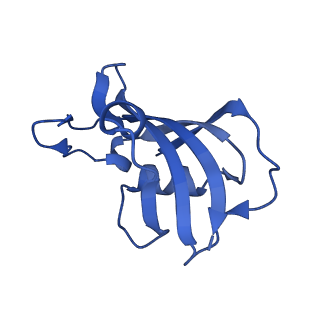 26412_7ua1_G_v1-0
Structure of PKA phosphorylated human RyR2-R2474S in the closed state in the presence of ARM210