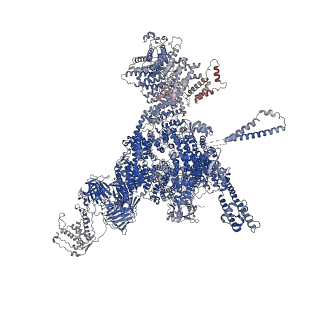 26413_7ua3_A_v1-0
Structure of PKA phosphorylated human RyR2-R2474S in the closed state in the presence of Calmodulin