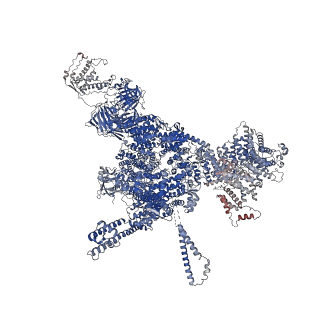 26413_7ua3_B_v1-0
Structure of PKA phosphorylated human RyR2-R2474S in the closed state in the presence of Calmodulin