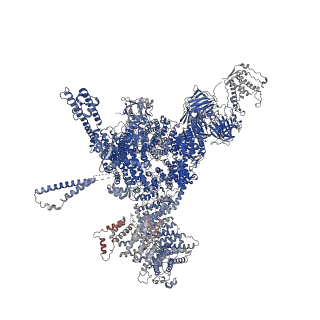 26413_7ua3_C_v1-0
Structure of PKA phosphorylated human RyR2-R2474S in the closed state in the presence of Calmodulin