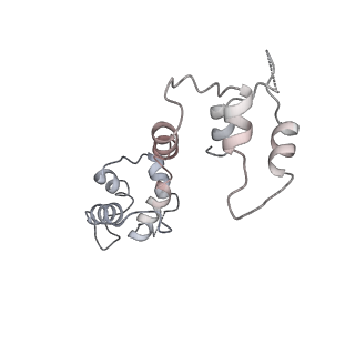 26413_7ua3_I_v1-0
Structure of PKA phosphorylated human RyR2-R2474S in the closed state in the presence of Calmodulin
