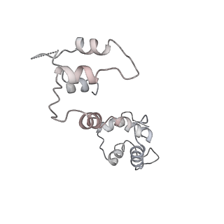 26413_7ua3_L_v1-0
Structure of PKA phosphorylated human RyR2-R2474S in the closed state in the presence of Calmodulin