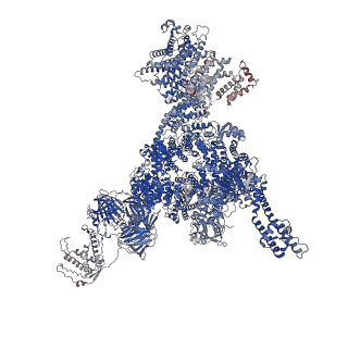 26414_7ua4_A_v1-0
Structure of PKA phosphorylated human RyR2-R2474S in the open state in the presence of Calmodulin