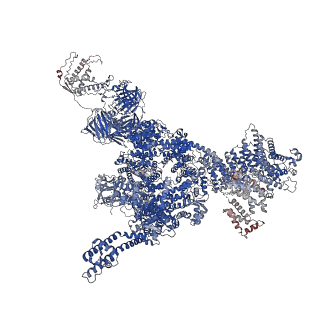26414_7ua4_B_v1-0
Structure of PKA phosphorylated human RyR2-R2474S in the open state in the presence of Calmodulin