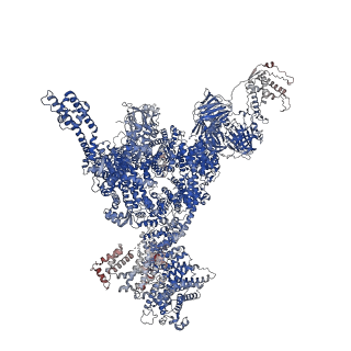 26414_7ua4_C_v1-0
Structure of PKA phosphorylated human RyR2-R2474S in the open state in the presence of Calmodulin