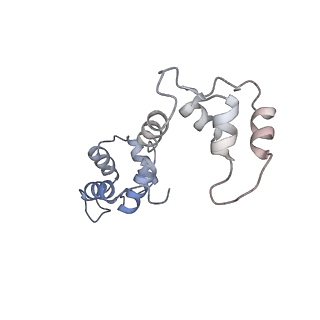 26414_7ua4_I_v1-0
Structure of PKA phosphorylated human RyR2-R2474S in the open state in the presence of Calmodulin