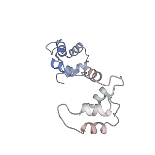 26414_7ua4_J_v1-0
Structure of PKA phosphorylated human RyR2-R2474S in the open state in the presence of Calmodulin
