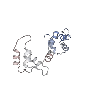 26414_7ua4_K_v1-0
Structure of PKA phosphorylated human RyR2-R2474S in the open state in the presence of Calmodulin