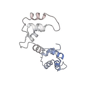 26414_7ua4_L_v1-0
Structure of PKA phosphorylated human RyR2-R2474S in the open state in the presence of Calmodulin