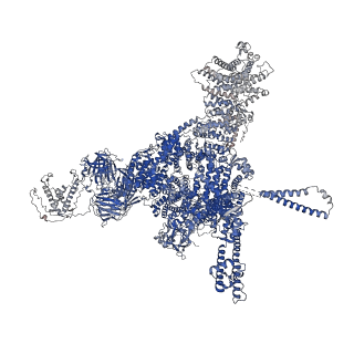 26415_7ua5_A_v1-0
Structure of dephosphorylated human RyR2 in the closed state
