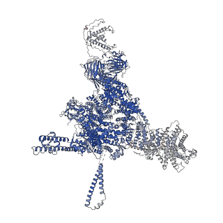 26415_7ua5_B_v1-0
Structure of dephosphorylated human RyR2 in the closed state