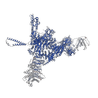 26415_7ua5_C_v1-0
Structure of dephosphorylated human RyR2 in the closed state
