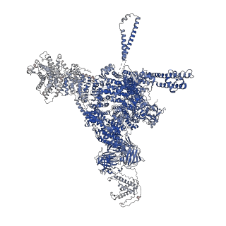 26415_7ua5_D_v1-0
Structure of dephosphorylated human RyR2 in the closed state