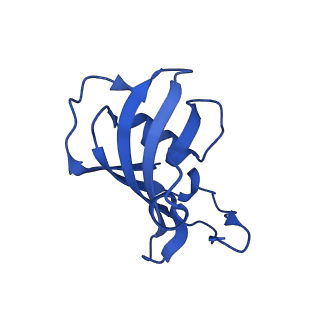 26415_7ua5_E_v1-0
Structure of dephosphorylated human RyR2 in the closed state