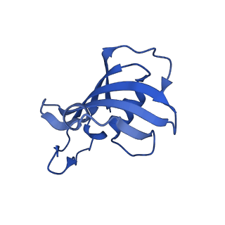 26415_7ua5_F_v1-0
Structure of dephosphorylated human RyR2 in the closed state