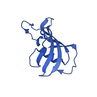 26415_7ua5_G_v1-0
Structure of dephosphorylated human RyR2 in the closed state