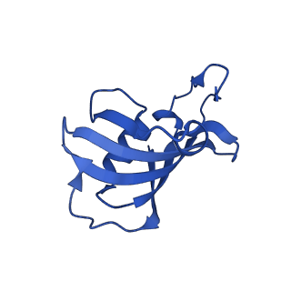 26415_7ua5_H_v1-0
Structure of dephosphorylated human RyR2 in the closed state