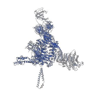 26416_7ua9_B_v1-0
Structure of dephosphorylated human RyR2 in the open state