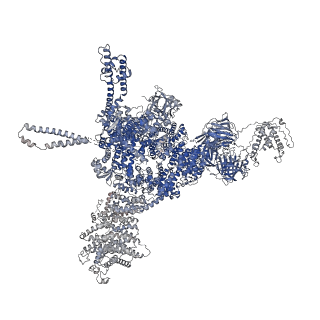 26416_7ua9_C_v1-0
Structure of dephosphorylated human RyR2 in the open state