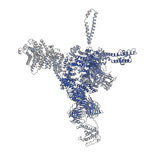 26416_7ua9_D_v1-0
Structure of dephosphorylated human RyR2 in the open state