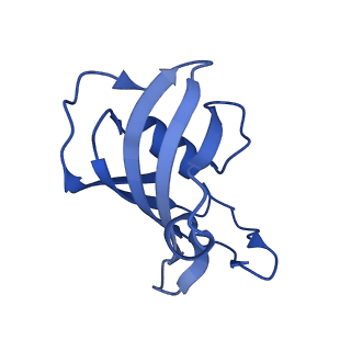 26416_7ua9_E_v1-0
Structure of dephosphorylated human RyR2 in the open state