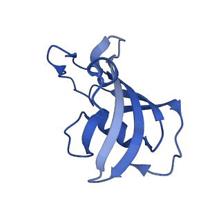 26416_7ua9_G_v1-0
Structure of dephosphorylated human RyR2 in the open state