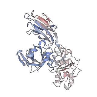 26419_7uab_D_v1-0
Human pro-meprin alpha (zymogen state)
