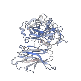 26419_7uab_H_v1-0
Human pro-meprin alpha (zymogen state)