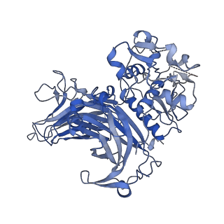 26420_7uac_H_v1-0
Human pro-meprin alpha (zymogen state)