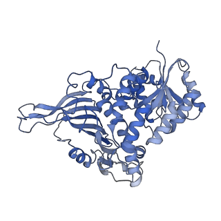 26428_7ual_B_v1-0
Structure of G6PD-D200N tetramer bound to NADP+ and G6P with no symmetry applied