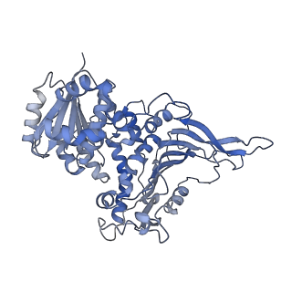 26428_7ual_C_v1-0
Structure of G6PD-D200N tetramer bound to NADP+ and G6P with no symmetry applied