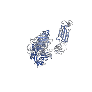26429_7uap_A_v1-2
Structure of the SARS-CoV-2 S 6P trimer in complex with the neutralizing antibody Fab fragment, C1520