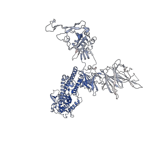 26429_7uap_C_v1-2
Structure of the SARS-CoV-2 S 6P trimer in complex with the neutralizing antibody Fab fragment, C1520