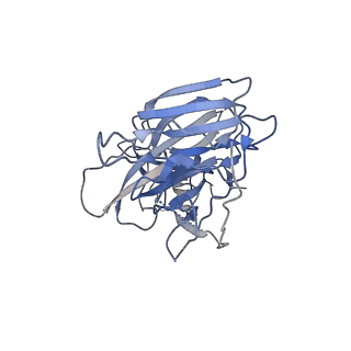 26430_7uaq_A_v1-2
Structure of the SARS-CoV-2 NTD in complex with C1520, local refinement