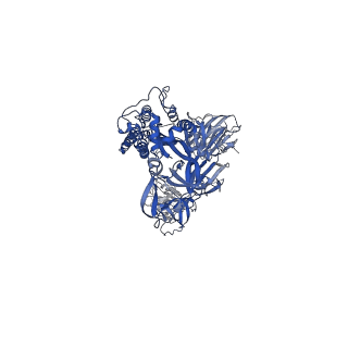 26431_7uar_A_v1-2
Structure of the SARS-CoV-2 S 6P trimer in complex with the neutralizing antibody Fab fragment, C1717