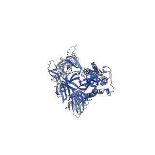 26431_7uar_B_v1-2
Structure of the SARS-CoV-2 S 6P trimer in complex with the neutralizing antibody Fab fragment, C1717