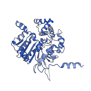 42061_8uae_A_v1-0
E. coli Sir2_HerA complex (12:6) with ATPgamaS