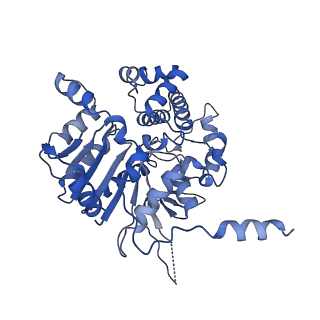 42061_8uae_A_v1-1
E. coli Sir2_HerA complex (12:6) with ATPgamaS