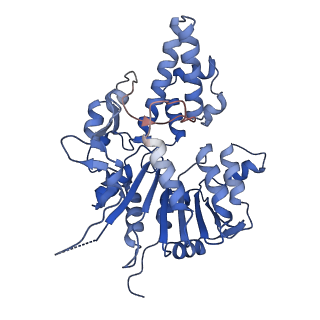 42061_8uae_B_v1-0
E. coli Sir2_HerA complex (12:6) with ATPgamaS