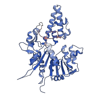 42061_8uae_B_v1-1
E. coli Sir2_HerA complex (12:6) with ATPgamaS