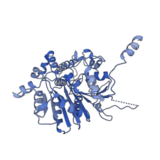 42061_8uae_C_v1-0
E. coli Sir2_HerA complex (12:6) with ATPgamaS