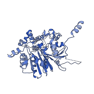 42061_8uae_C_v1-1
E. coli Sir2_HerA complex (12:6) with ATPgamaS