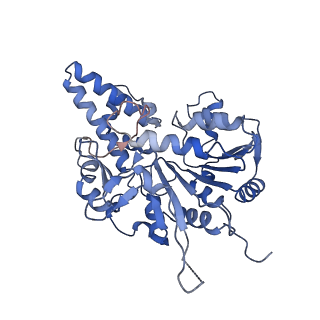 42061_8uae_D_v1-0
E. coli Sir2_HerA complex (12:6) with ATPgamaS