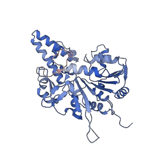 42061_8uae_D_v1-1
E. coli Sir2_HerA complex (12:6) with ATPgamaS