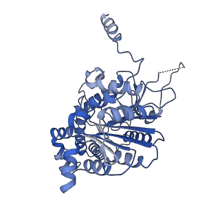 42061_8uae_E_v1-0
E. coli Sir2_HerA complex (12:6) with ATPgamaS