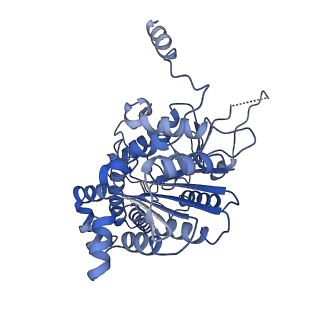 42061_8uae_E_v1-1
E. coli Sir2_HerA complex (12:6) with ATPgamaS