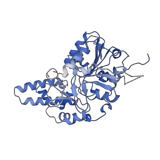 42061_8uae_F_v1-0
E. coli Sir2_HerA complex (12:6) with ATPgamaS
