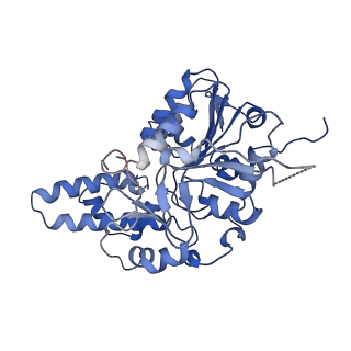 42061_8uae_F_v1-1
E. coli Sir2_HerA complex (12:6) with ATPgamaS