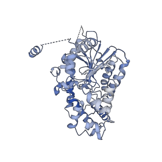 42061_8uae_G_v1-0
E. coli Sir2_HerA complex (12:6) with ATPgamaS
