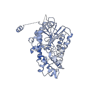 42061_8uae_G_v1-1
E. coli Sir2_HerA complex (12:6) with ATPgamaS